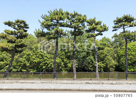 大阪・仁徳天皇陵（大仙陵古墳）・世界遺産 50807765