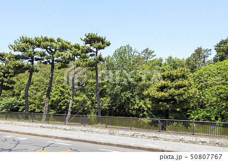 大阪・仁徳天皇陵(大仙陵古墳)・世界遺産 大阪・仁徳天皇陵(大仙陵古墳)・世界遺産 50807767