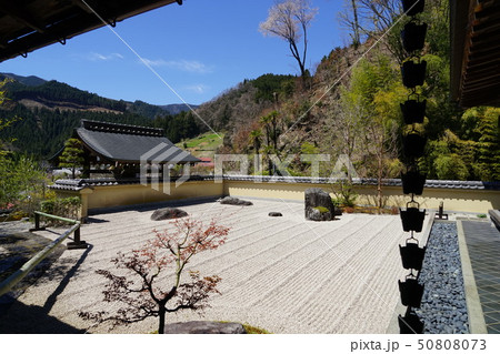 4月 檜原村30枯山水庭園・松龍山玉傳寺 4月 檜原村30枯山水庭園・松龍山玉傳寺 50808073