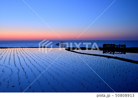 白米千枚田の夕日 白米千枚田の夕日 50808913