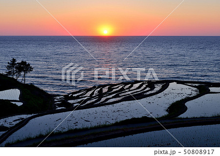 白米千枚田の夕日 白米千枚田の夕日 50808917