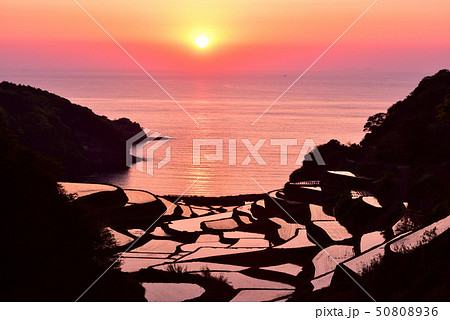 浜野浦の棚田の夕日 50808936