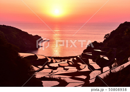 浜野浦の棚田の夕日 浜野浦の棚田の夕日 50808938