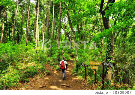 秦野市　弘法山公園ハイキングコース　野仏の道分岐（鶴巻温泉方面）とハイカー 50809007
