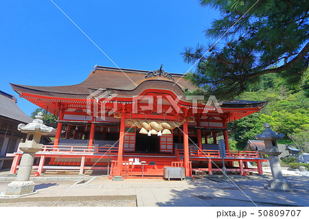 【島根県】晴天下の日御碕神社 拝殿 【島根県】晴天下の日御碕神社 拝殿 50809707