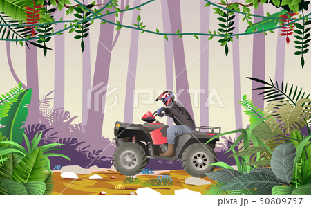ATV in the jungle in daytime 50809757