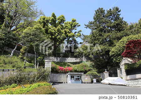 清泉女子大学正門 清泉女子大学正門 50810361