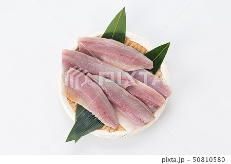 アジ アジ 50810580