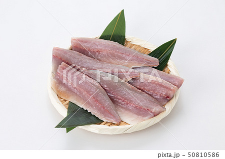 アジ 50810586