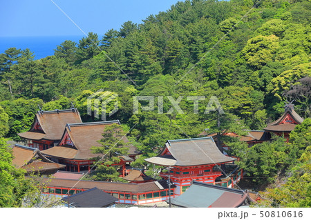 【島根県】晴天下の日御碕神社 全景 【島根県】晴天下の日御碕神社 全景 50810616