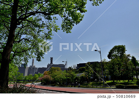 東京 皇居周辺 桜田濠と都市風景 東京 皇居周辺 桜田濠と都市風景 50810669