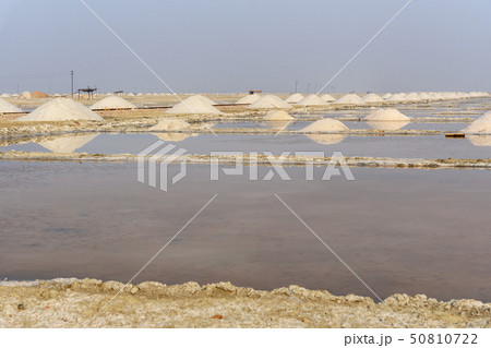 Heaps of salt on Sambhar Salt Lake. India 50810722