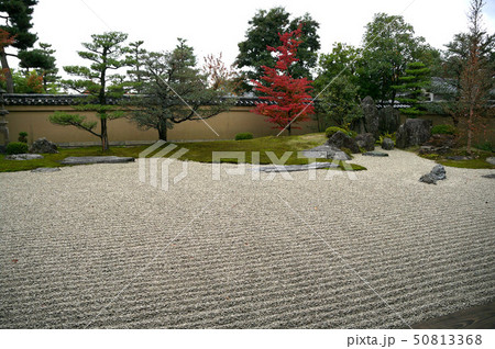 京都 芳春院庭園 京都 芳春院庭園 50813368