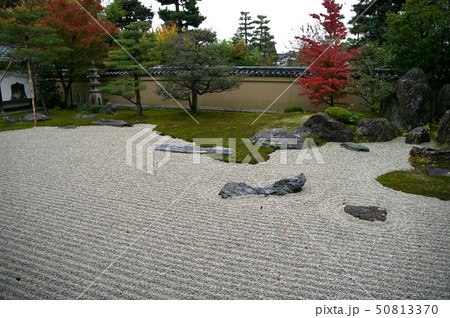 京都 芳春院庭園 京都 芳春院庭園 50813370
