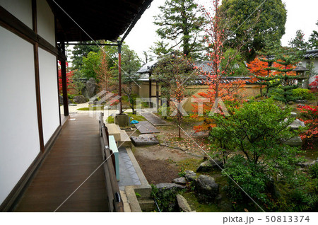 京都 芳春院 京都 芳春院 50813374