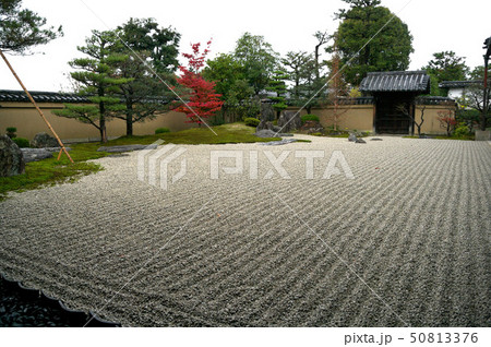 京都 芳春院庭園 京都 芳春院庭園 50813376