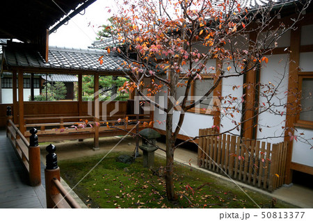 京都 芳春院 京都 芳春院 50813377