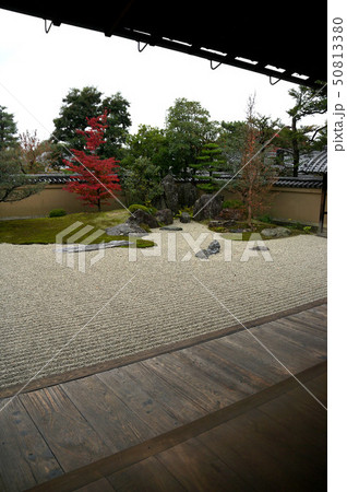 京都 芳春院庭園 京都 芳春院庭園 50813380