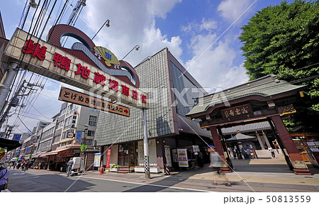日本の東京都市景観　巣鴨地蔵通商店街　(とげぬき地蔵尊本堂入口) 50813559