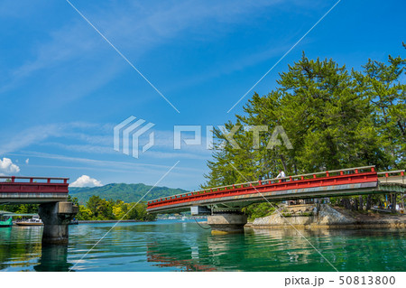 日本三景の天橋立 新緑の丹後半島天橋立　廻旋橋 50813800