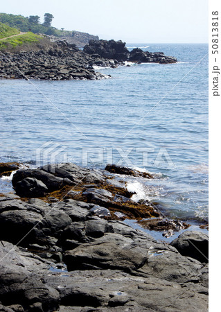 唐津　波戸岬　（青い海、白い砂浜、花の咲く野原、色々な表情を見せる岬） 50813818