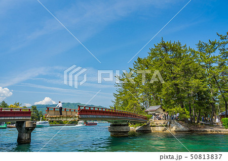 日本三景の天橋立 新緑の丹後半島天橋立 廻旋橋の写真素材