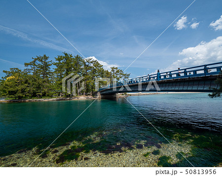 日本三景の天橋立 新緑の丹後半島天橋立 日本三景の天橋立 新緑の丹後半島天橋立 50813956