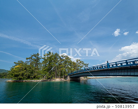 日本三景の天橋立 新緑の丹後半島天橋立 50813957