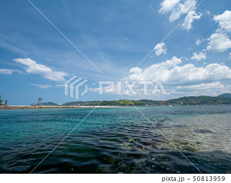日本三景の天橋立 新緑の丹後半島天橋立 日本三景の天橋立 新緑の丹後半島天橋立 50813959