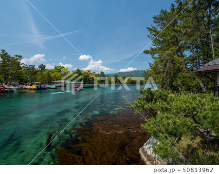 日本三景の天橋立 新緑の丹後半島天橋立 日本三景の天橋立 新緑の丹後半島天橋立 50813962