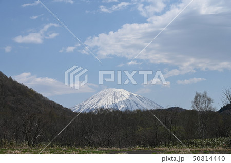 羊蹄山の春 羊蹄山の春 50814440