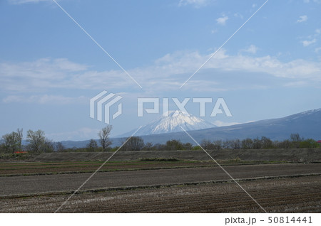 羊蹄山の春 羊蹄山の春 50814441