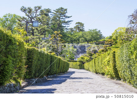 松阪観光スポット　御番城屋敷　松坂城跡(松阪)　三重県の観光地 50815010