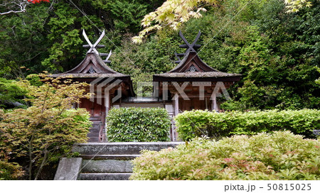 奈良・円成寺(えんじょうじ)の国宝春日堂・白山堂は最古最小の春日造社殿 奈良・円成寺(えんじょうじ)の国宝春日堂・白山堂は最古最小の春日造社殿 50815025
