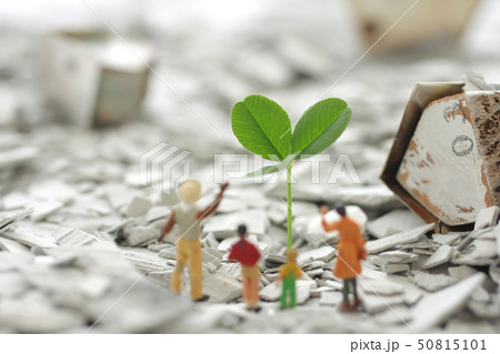 災害で破壊された街の瓦礫と再生した緑や花に希望を託す人々 50815101