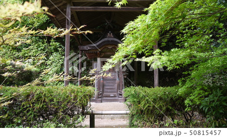奈良・円成寺の宇賀神本殿は重要文化財 奈良・円成寺の宇賀神本殿は重要文化財 50815457