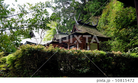 奈良・円成寺（えんじょうじ）の国宝春日堂・白山堂は最古最小の春日造社殿 50815472