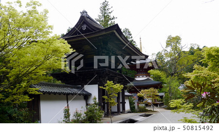 奈良・円成寺(えんじょうじ)の楼門と多宝塔 奈良・円成寺(えんじょうじ)の楼門と多宝塔 50815492