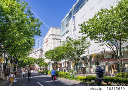 名古屋中区 栄 街並み 大津通 名古屋パルコ店前 松坂屋名古屋店 南大津通歩行者天国 名古屋中区 栄 街並み 大津通 名古屋パルコ店前 松坂屋名古屋店 南大津通歩行者天国 50815670