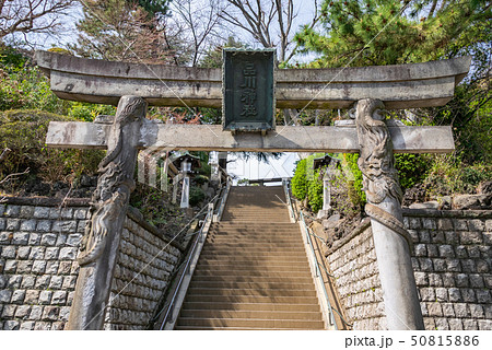 東京 品川神社 鳥居 50815886