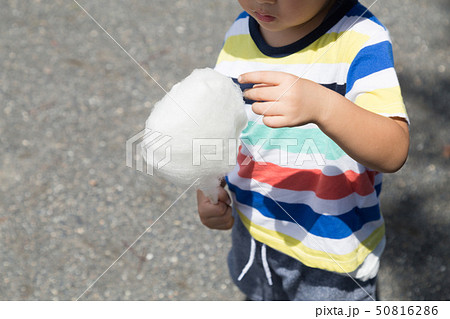わたあめを食べる幼児 わたあめを食べる幼児 50816286