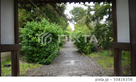 奈良・海龍王寺の山門からの参道 奈良・海龍王寺の山門からの参道 50816356