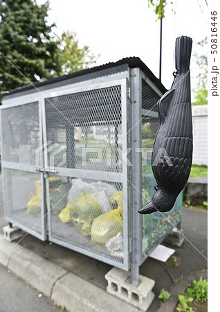 カラス対策 カラス対策 50816446