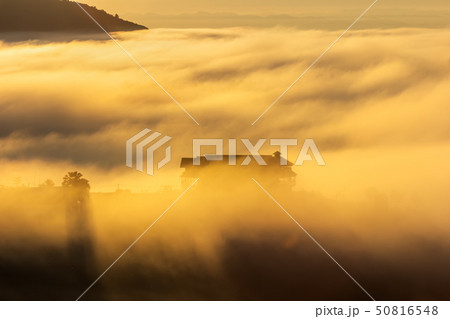 Beautiful Sunrise and the mist at thailand Beautiful Sunrise and the mist at thailand 50816548