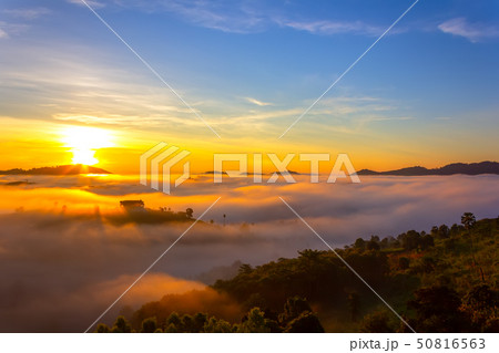 Beautiful Sunrise and the mist at thailand 50816563