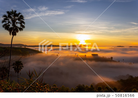 Beautiful Sunrise and the mist at thailand Beautiful Sunrise and the mist at thailand 50816566
