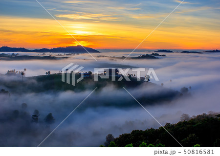 Beautiful Sunrise and the mist at thailand 50816581