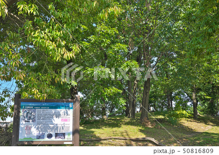 【大鳥塚古墳】 大阪府藤井寺市古室2 50816809