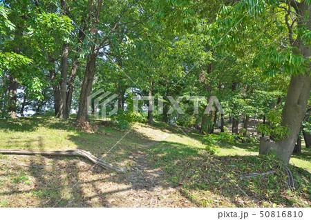 【大鳥塚古墳】 大阪府藤井寺市古室2 【大鳥塚古墳】 大阪府藤井寺市古室2 50816810