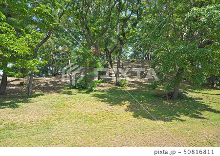 【大鳥塚古墳】 大阪府藤井寺市古室2 50816811